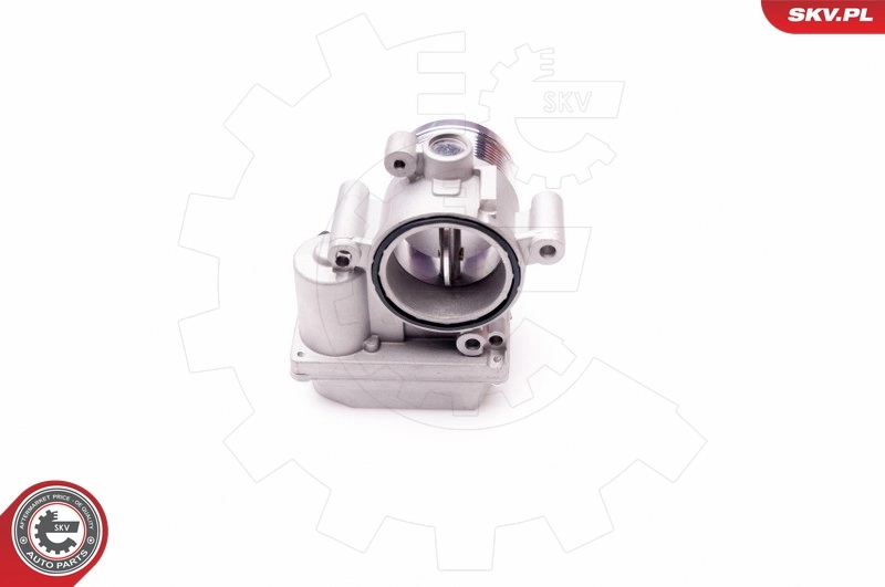 Дроссельная заслонка в сборе SKV 12SKV063 цена, от 146.58 USD