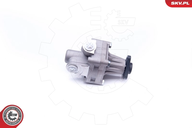 Купить 10SKV245 SKV Насос рулевого управления