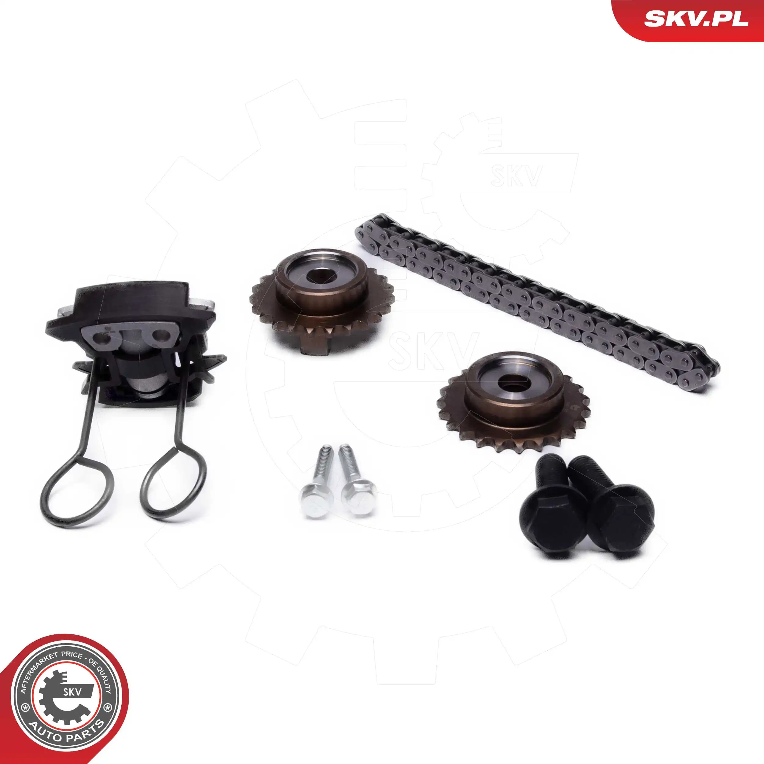 21SKV255 SKV Комплект цепи