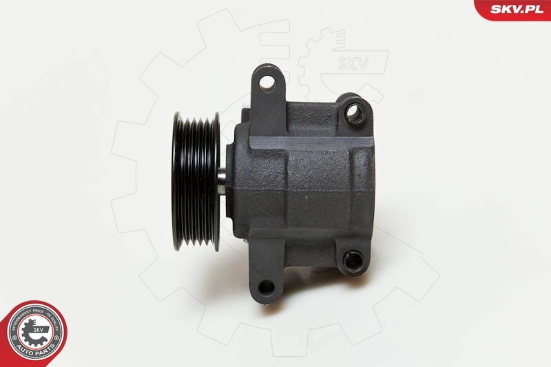 10SKV035 SKV ГУР руля