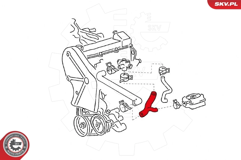 Mangueira (cano derivado) do sistema de esfriamento Volkswagen Passat 3A5, 351, 315