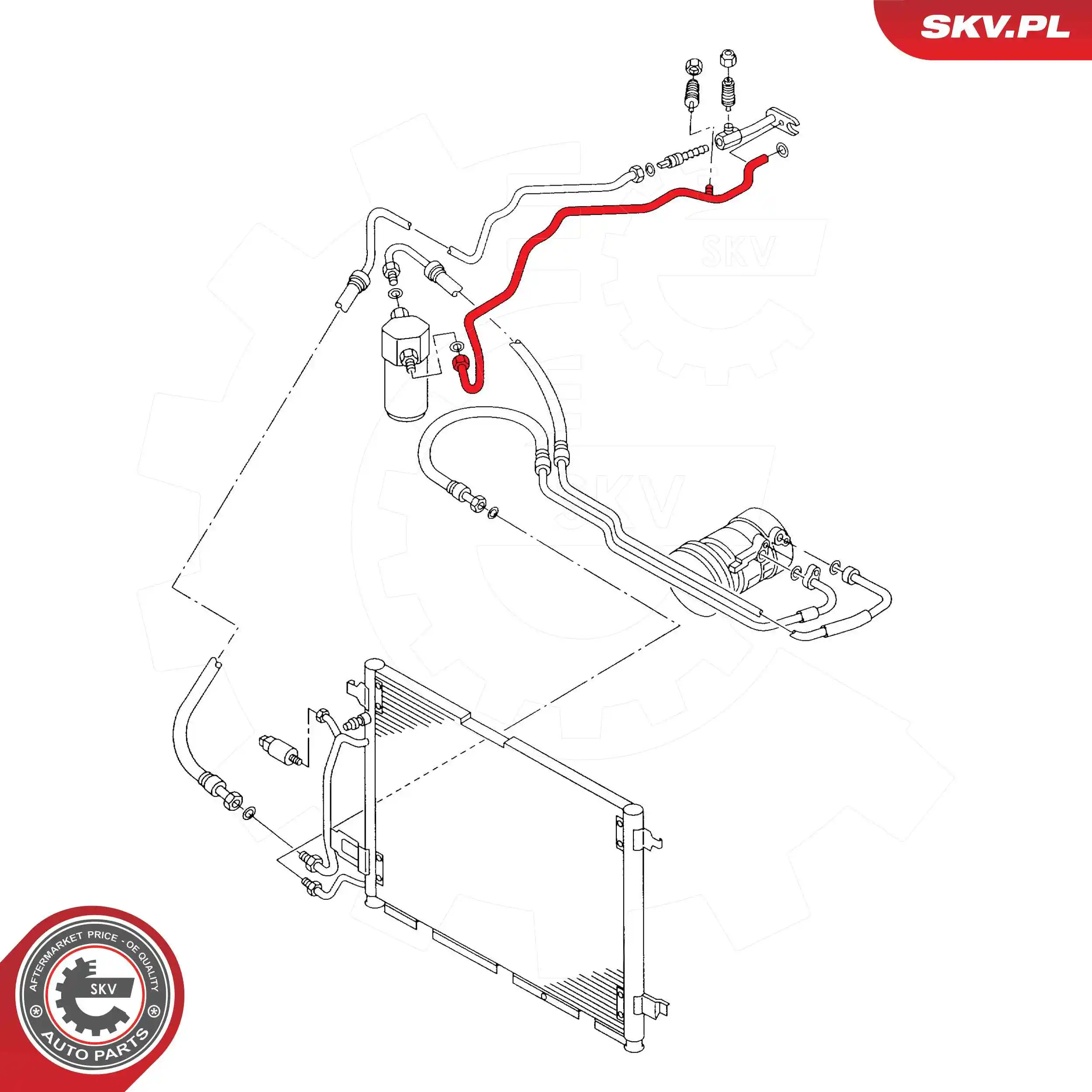  SKV 43SKV567