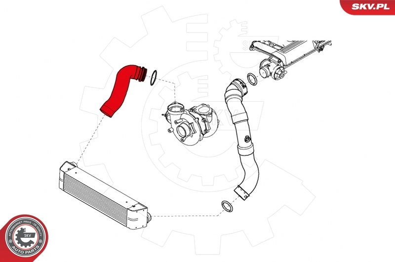 Шланг интеркуллера Thermotec DCB084TT