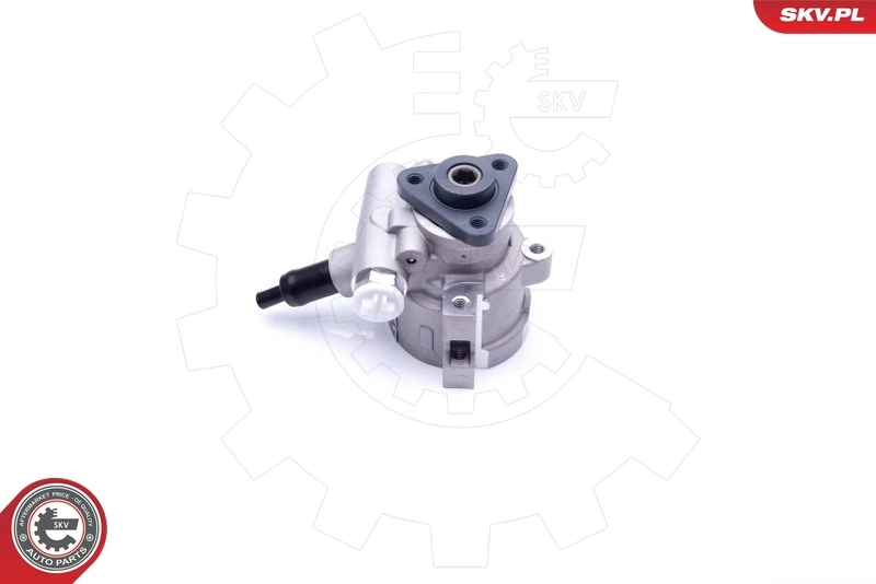 Насос ГУР 10SKV258 SKV