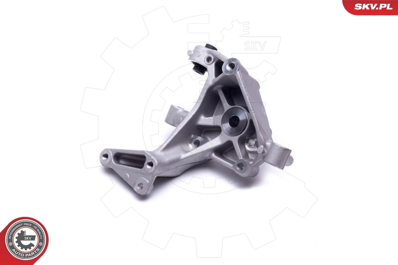Цапфа - поворотный кулак задний, левый SKV 47SKV431 цена, от 31.67 USD