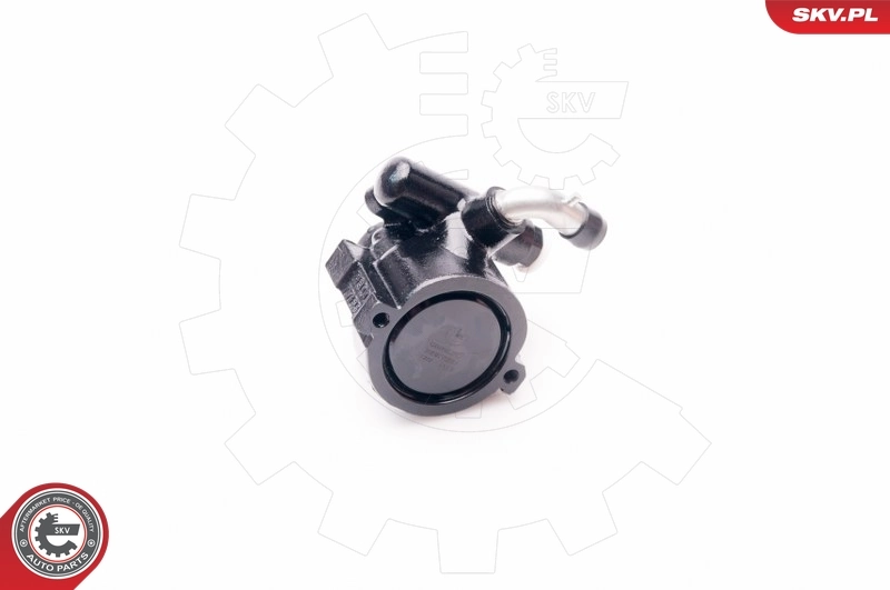 Насос ГУР 10SKV229 SKV