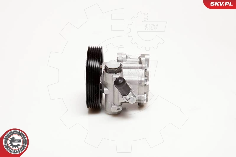 Насос гидравлики SKV 10SKV098 цена, от 85.73 USD