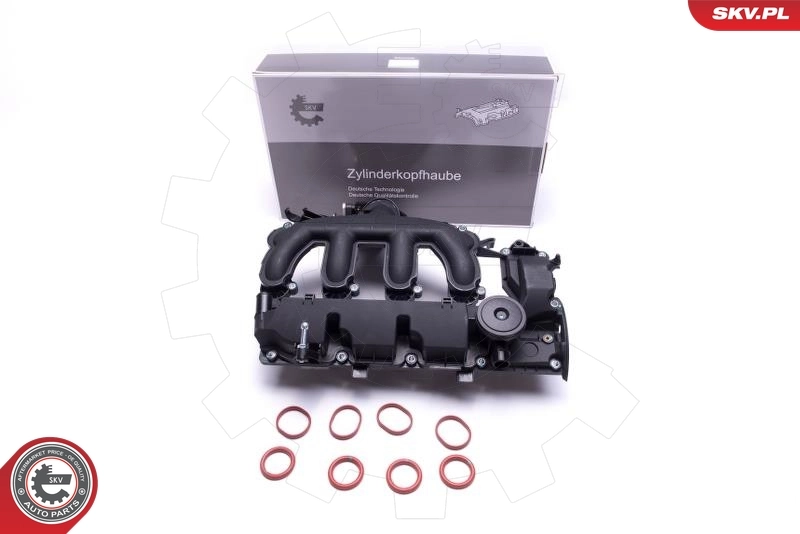 Tampa de válvulas Peugeot 307 3B