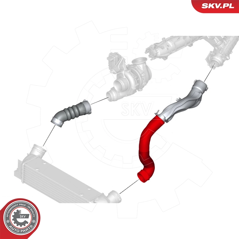 Купить 24SKV521 SKV Патрубок интеркулера