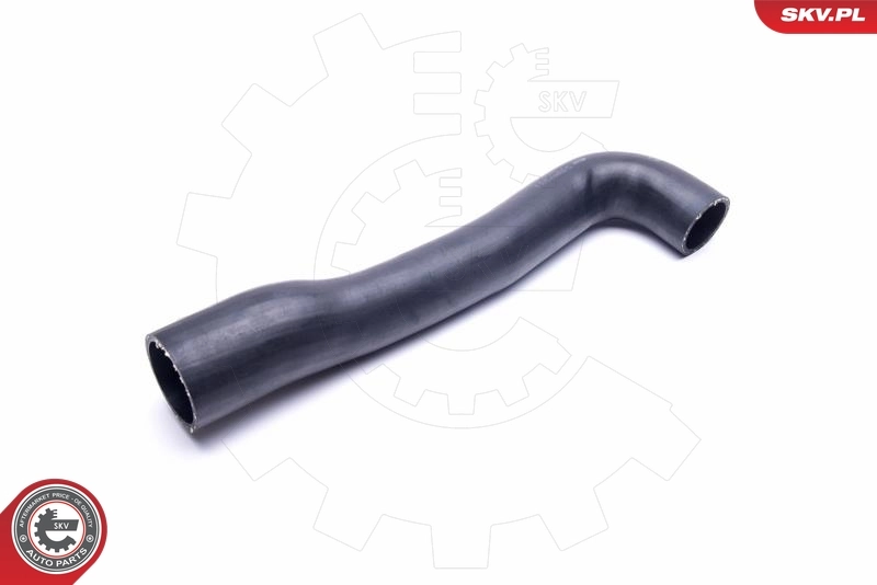  SKV 54SKV021 цена, от 45.54 USD