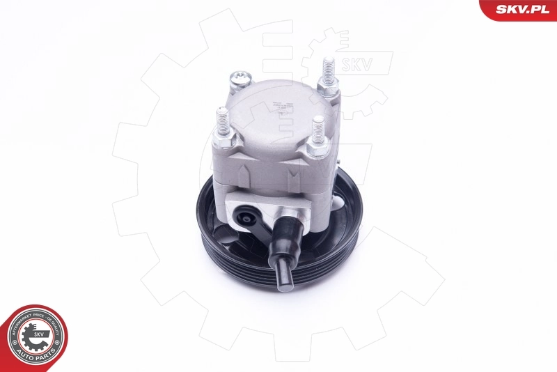 Насос гидроусилителя руля SKV 10SKV257
