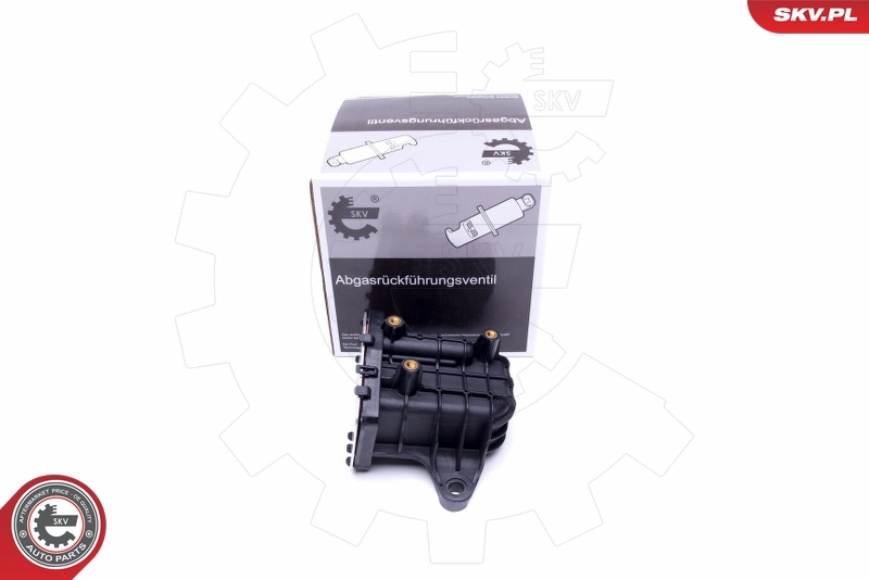 Válvula EGR de recirculação dos gases Ford Galaxy 3 CK