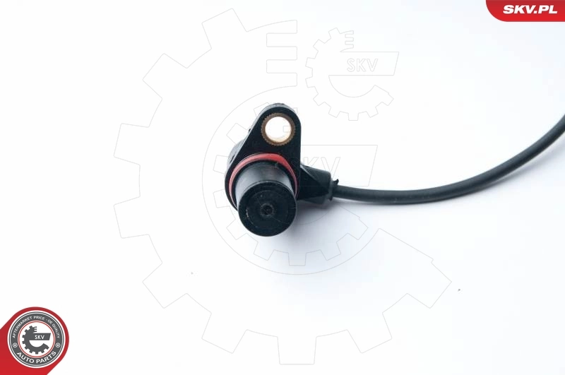 17SKV266 SKV ДПКВ