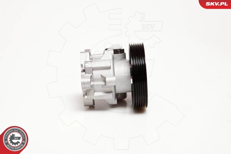 Насос ГУР 10SKV098 SKV