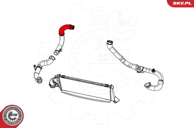 Купить 43SKV191 SKV 