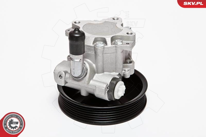 Насос гидравлики SKV 10SKV063 цена, от 77.28 USD