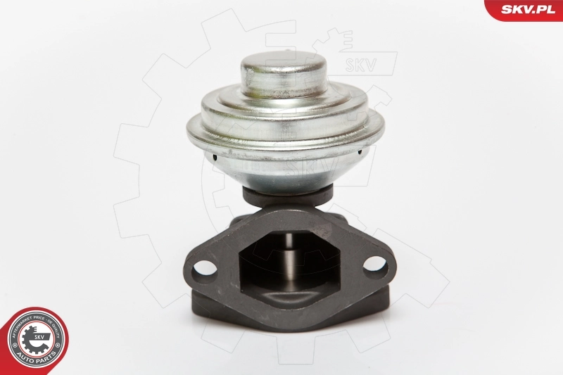 Válvula EGR de recirculação dos gases Opel Vectra 38