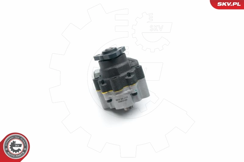 Купить 10SKV190 SKV Насос рулевого управления