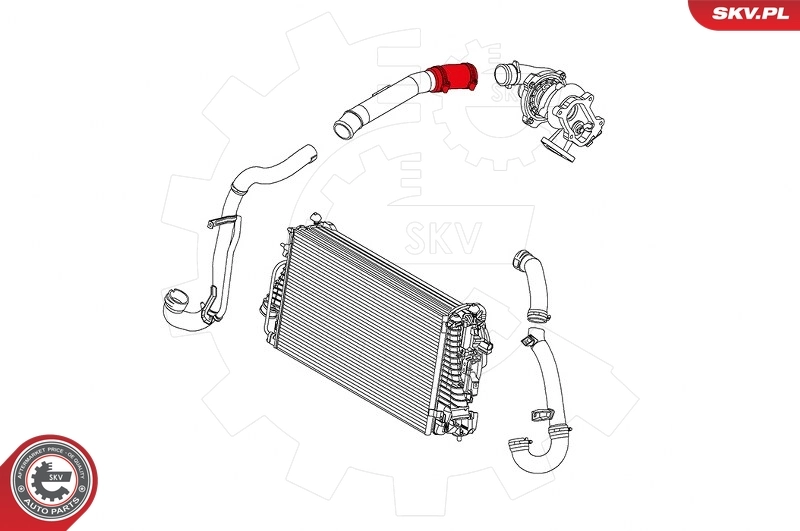 Купить 24SKV860 SKV 