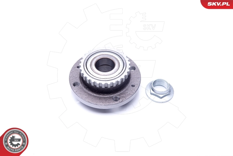 Ступицы задних колес SKV 29SKV201 цена, от 30.85 USD