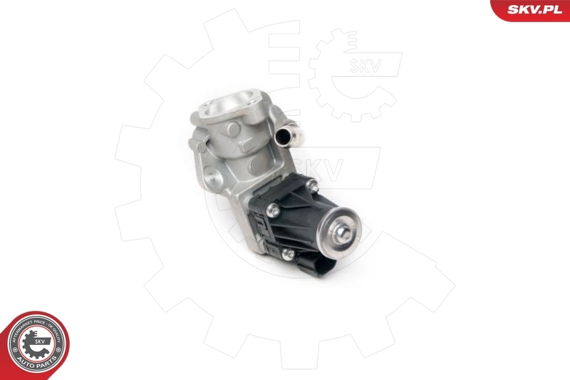 Купить 14SKV100 SKV Клапан EGR системы рециркуляции отработавших газов