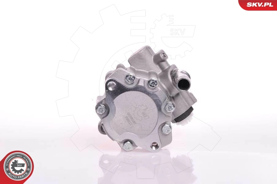 Насос ГУР 10SKV166 SKV