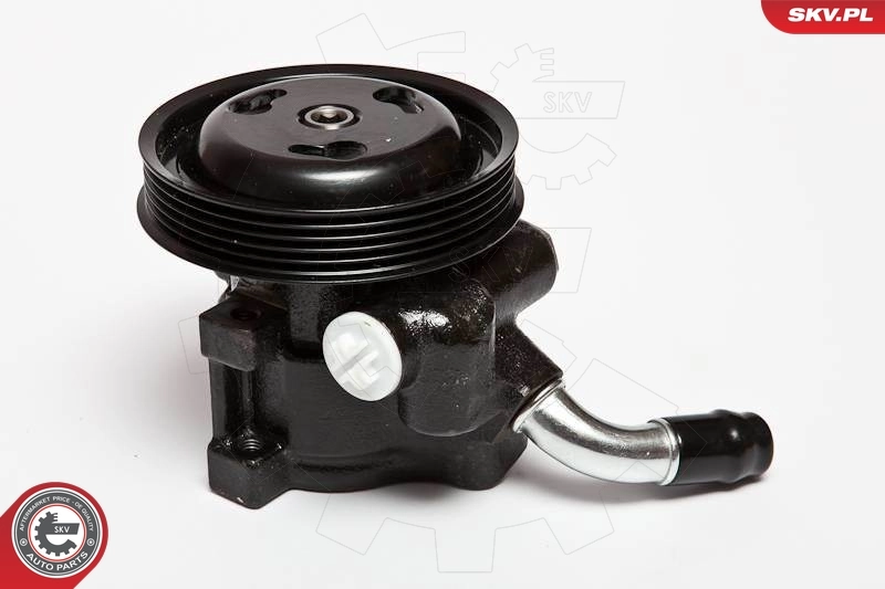 Насос гидроусилителя руля SKV 10SKV065