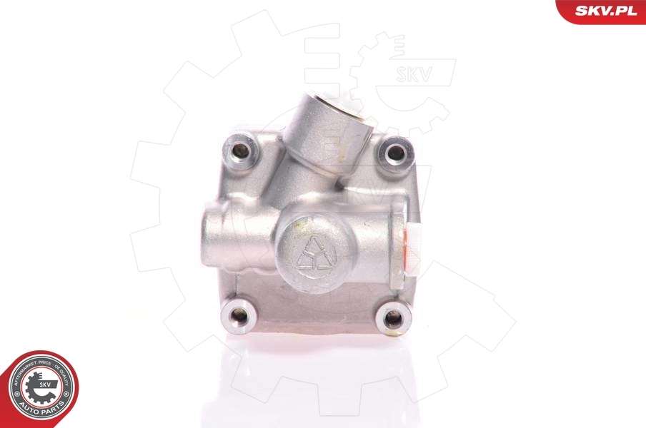 Насос ГУР 10SKV011 SKV