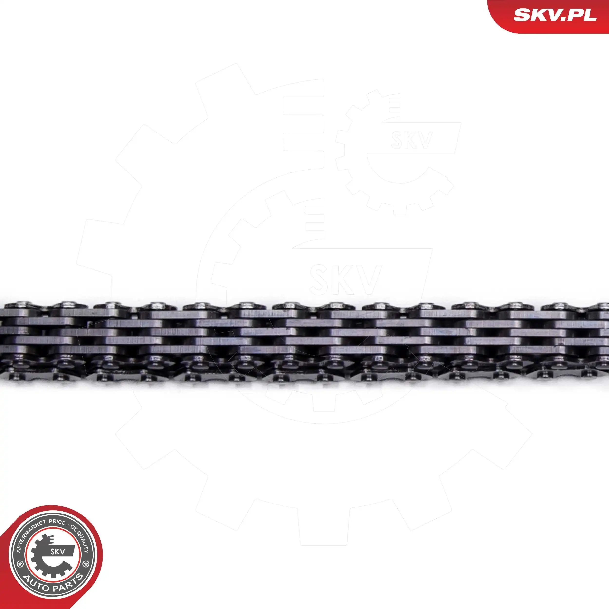  SKV 21SKV253 цена, от 78.21 USD