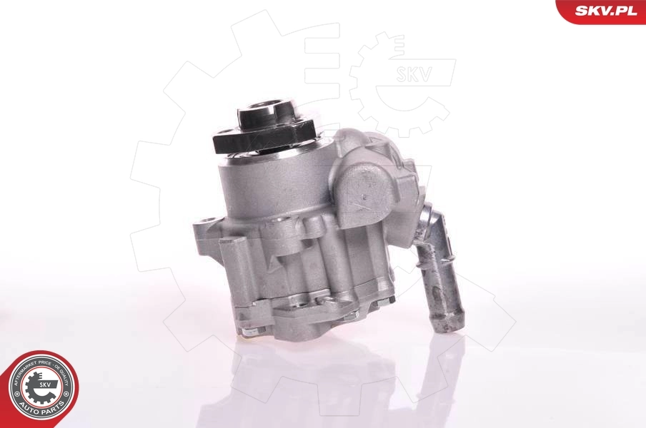 Насос гидравлики SKV 10SKV166 цена, от 76.29 USD