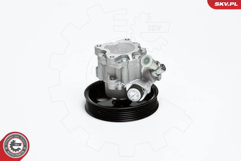 Насос гидроусилителя руля SKV 10SKV022