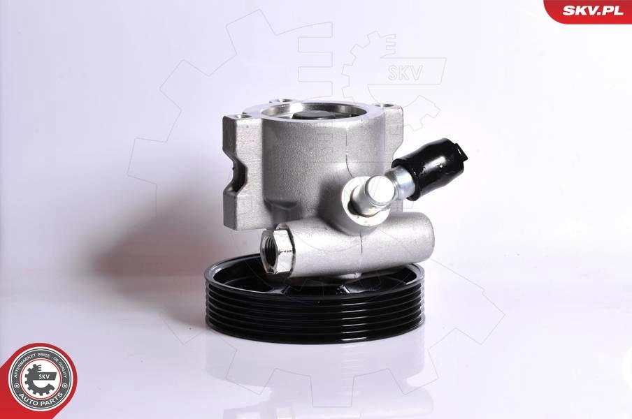 Насос гидравлики SKV 10SKV138 цена, от 77.91 USD