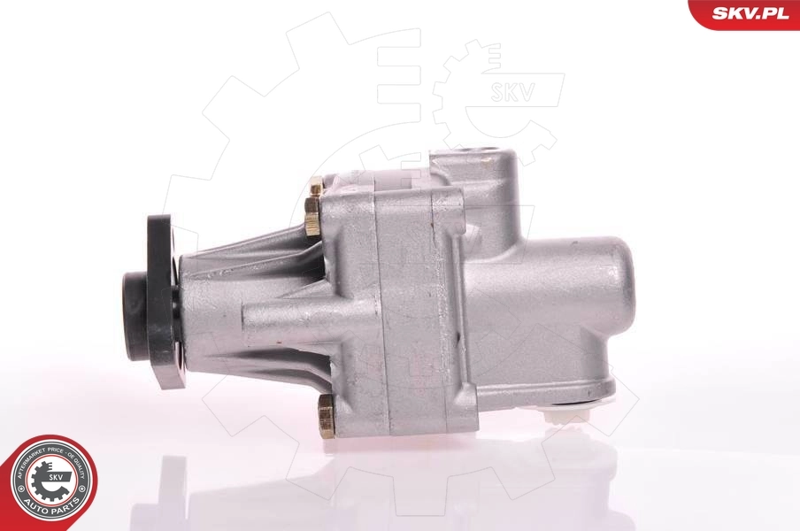 Насос ГУР 10SKV125 SKV