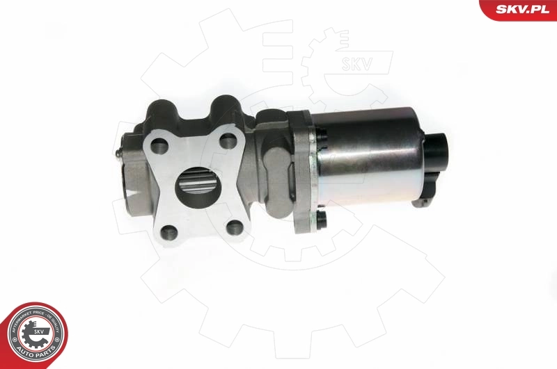 Válvula EGR de recirculação dos gases Toyota Corolla R10