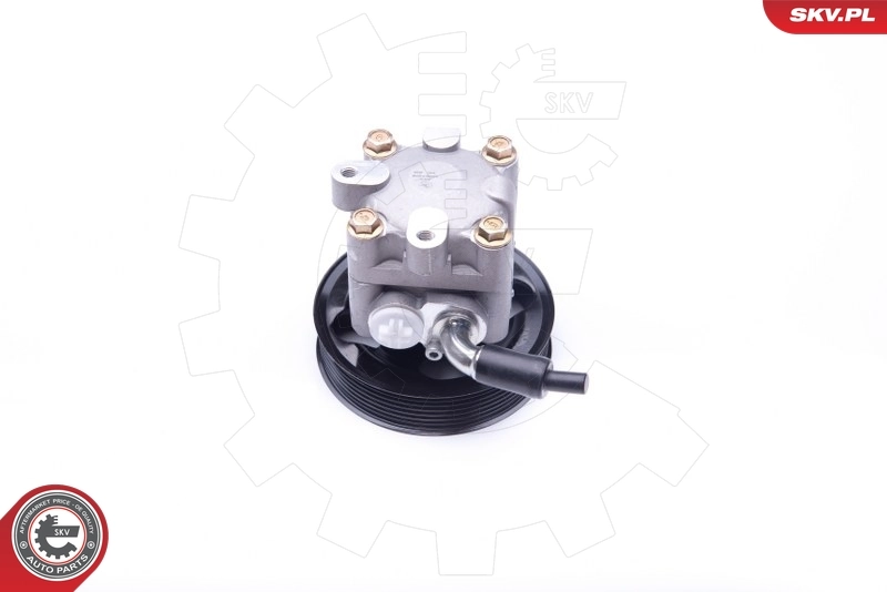 Насос гидроусилителя руля SKV 10SKV275