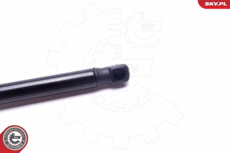 Amortecedor de tampa de porta-malas (de 3ª/5ª porta traseira) Toyota Avensis 1 T22