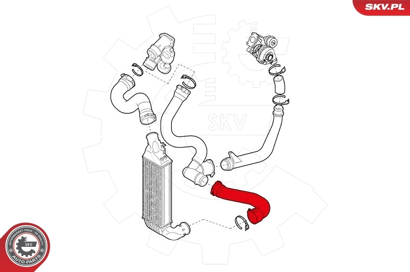 Купить 24SKV945 SKV Патрубок интеркулера