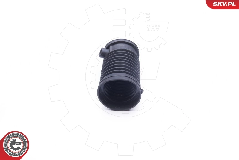  SKV 24SKV436 цена, от 38.27 USD