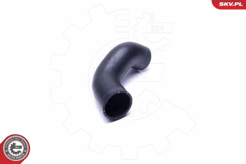 54SKV029 SKV