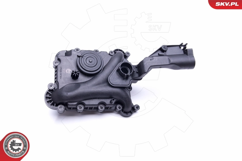 Датчик газов картера SKV 31SKV160 цена, от 89.79 USD