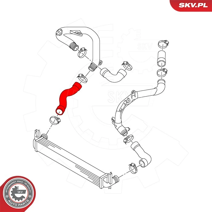 Купить 43SKV449 SKV Патрубок интеркулера
