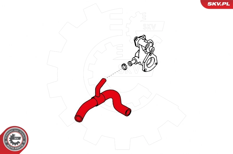 Mangueira (cano derivado) do sistema de esfriamento Ford Escort 4 AWF, AVF