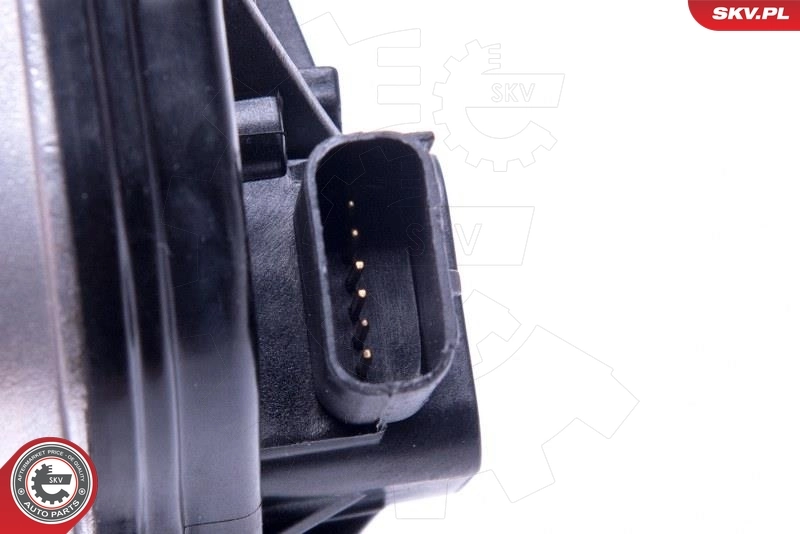 Válvula de borboleta montada Ford C-Max DM2