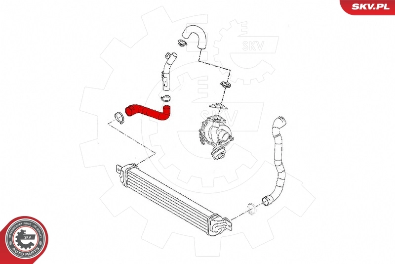  SKV 43SKV300 цена, от 49.51 USD