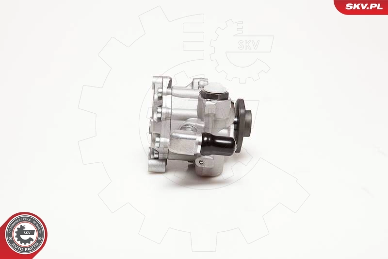 Насос ГУР 10SKV124 SKV