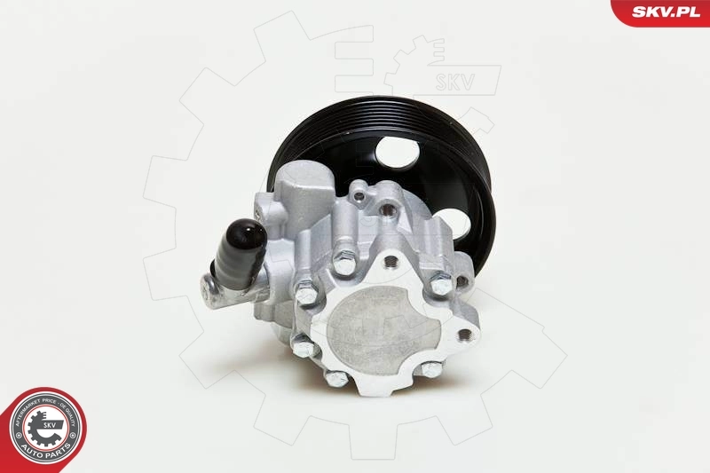 Насос гидравлики SKV 10SKV039 цена, от 98.76 USD