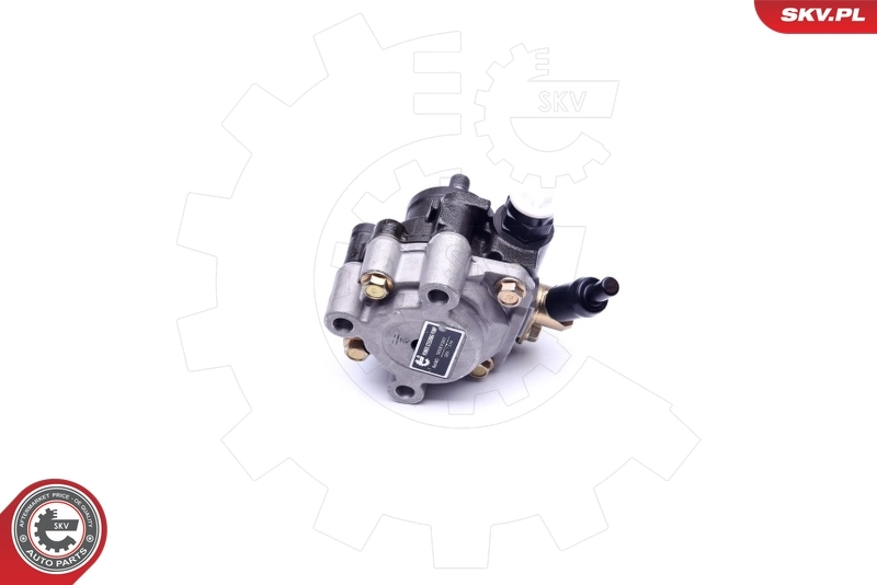 Насос ГУР 10SKV267 SKV