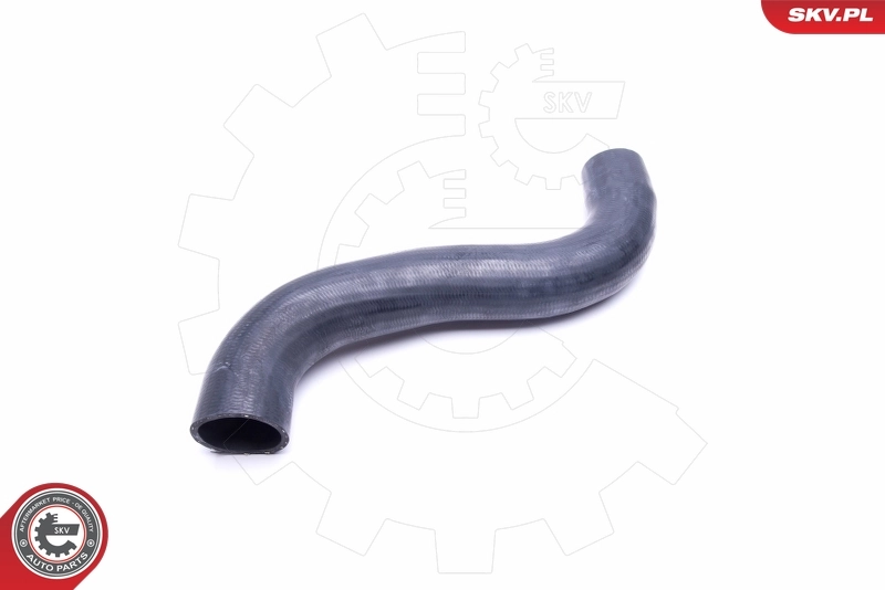  SKV 43SKV197 цена, от 67.74 USD