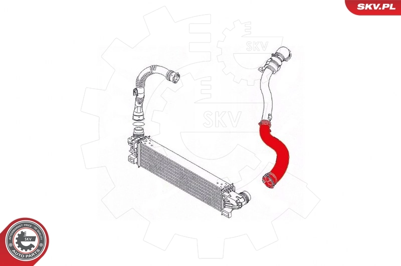Купить 24SKV796 SKV Патрубок интеркулера