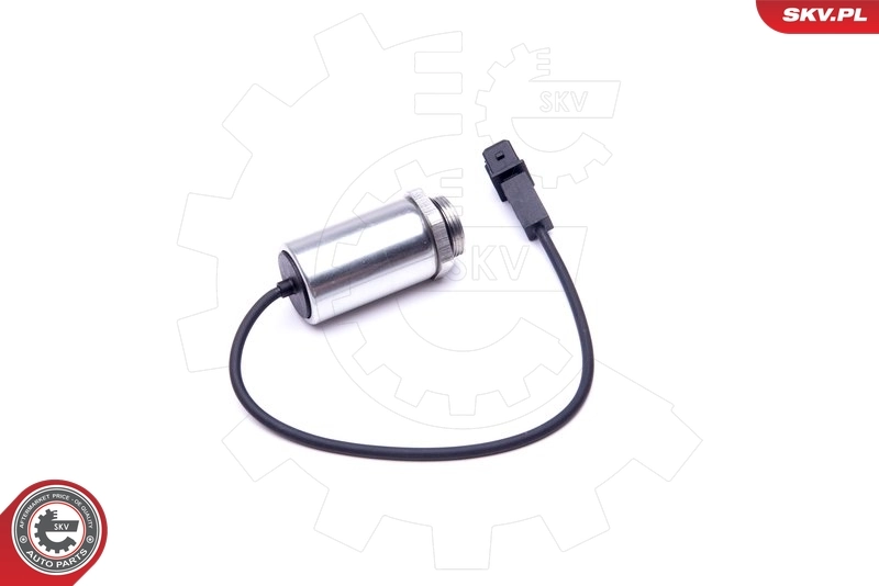 Электромагнитный клапан фазорегулятора SKV 39SKV048 цена, от 31.86 USD